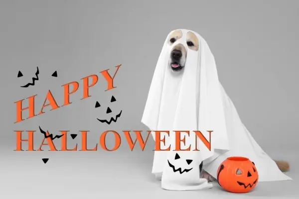 Happy Halloween from Randall Wiggins - NuView Mortgage